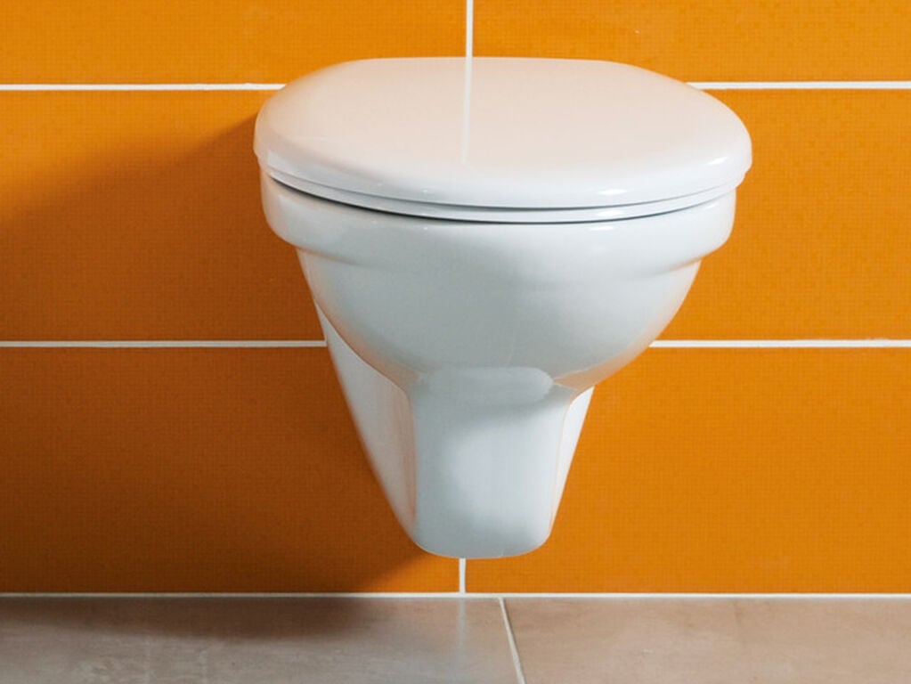 Jika wc wall-hung toilet dino white (Pan Only)